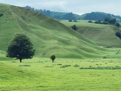 -新疆那拉提国家旅游度假区