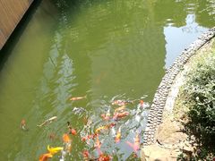 -上海虹桥宾馆(郁锦香品牌酒店)