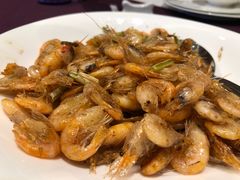 小葱炒小白虾-南京东郊国宾馆