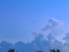 -欢乐海岸椰林沙滩-2025湾区超级灯会