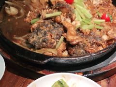 -老板恋上鱼(荣盛广场店)