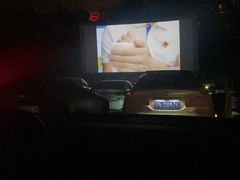 -枫花园汽车电影院(朝阳公园店)