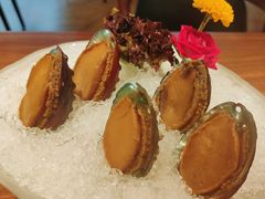 手工冰镇鲍鱼-木棉·醉心粤味(COCO Park店)