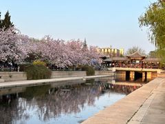 -元大都城垣遗址公园