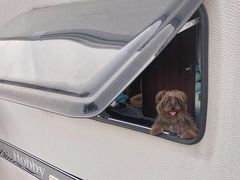 -崇明东平国家森林公园烧烤房车露营地