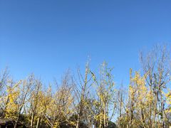 -天河潭旅游度假区