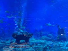 -亚特兰蒂斯•OSSIANO奥西亚诺海底餐厅