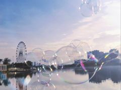 -飞来湖湿地公园
