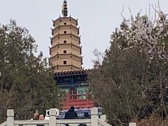 -白塔山公园