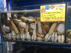 -蚝专家(北滘店)