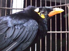 CIMG5839-留荫庐旅馆