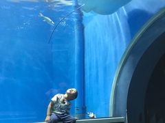 -北戴河圣蓝海洋公园