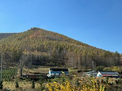 -塞罕坝国家级自然保护区