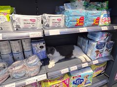 -萌兽医馆·眼科·异宠专科(三里屯店)