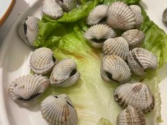 白灼血蛤-小厨师·二十年沈家门小海鲜(百井坊巷店)