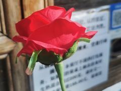 -丽江庭院·云南野生菌·海鲜火锅(鼓楼四合院店)