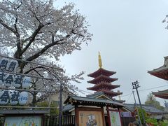 -浅草寺