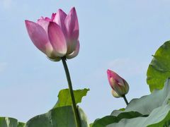 -梁鸿国家湿地公园