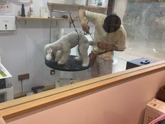 -佐罗家宠物馆·猫文化馆(紫霞路店)