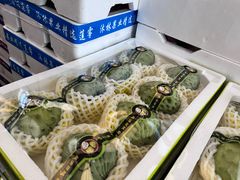 -西郊国际农产品交易中心