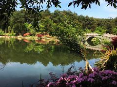 -铁山坪森林公园