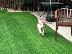 -汪说喵讲宠物乐园宠物酒店(红星美凯龙店)