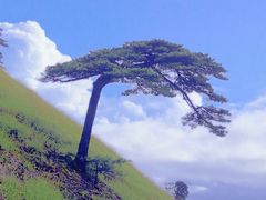 -萍乡武功山风景名胜区