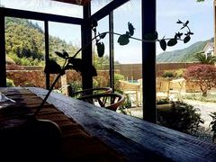 插花-看见远方·莫干遥远的山民宿