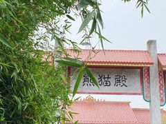 -杭州野生动物世界