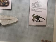 -辽宁古生物博物馆