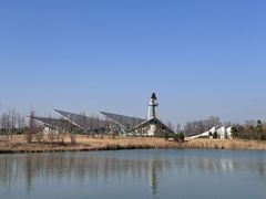 -盐城丹顶鹤湿地生态旅游区
