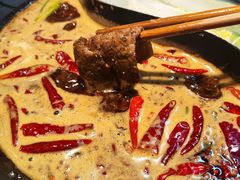 -阳阳老火锅(小南门店)