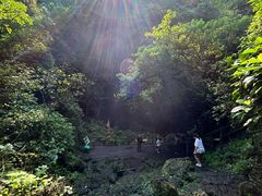 -海口火山口国家地质公园