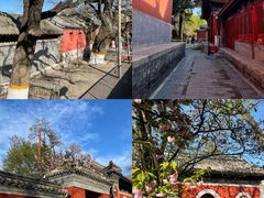 -北京艺术博物馆(万寿寺)