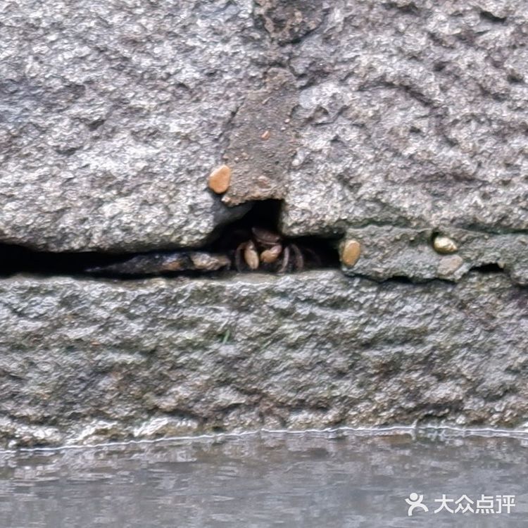 水上巴士7号线，体味老杭州的味道