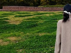 -白鹭湾湿地公园