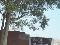 -龙大花卉苗木市场