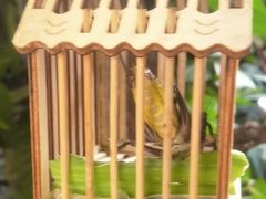 -后海16号·北京私房菜