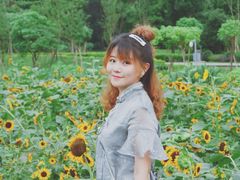 景点-天府芙蓉园