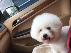 -多卡布奇宠物生活馆(上林世家店)