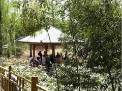 -紫竹院公园冰场