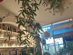 -春树下·树屋花房西餐厅(罍街AS1980店)