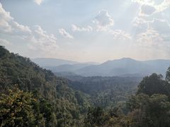 -中国科学院西双版纳热带植物园
