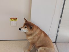 -新川饮食(新川小区店)