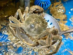 -亚马逊蒸汽活海鲜自助(LCM置汇旭辉广场店)