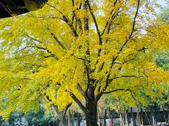 -汇龙潭