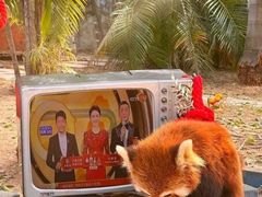 -灵玲国际马戏城