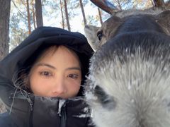 -北极村旅游风景区