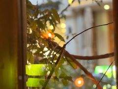 -源一咖啡馆(麒麟巷步行街店)