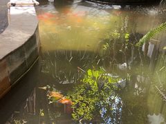 -吃货私房菜(丽江束河古镇店)